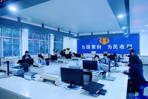 慶陽(yáng)稅務(wù) 高效辦稅促發(fā)展，稅惠服務(wù)暖企心